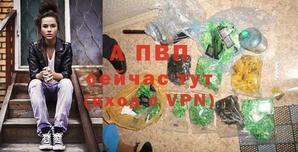 дживик Белокуриха