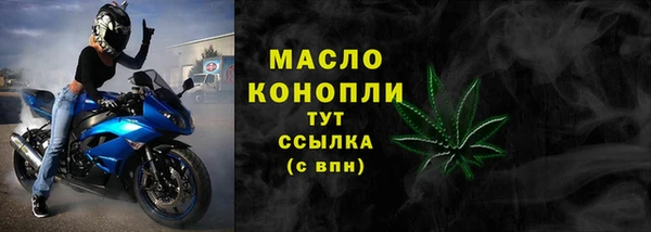 spice Богородск
