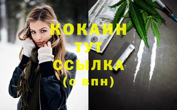 spice Богородск