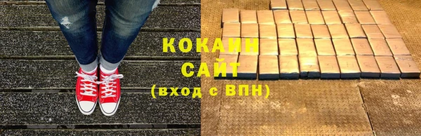 дживик Белокуриха