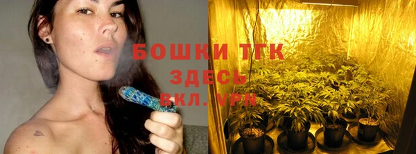 дживик Белокуриха