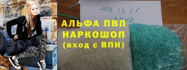 spice Богородск