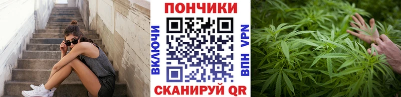 блэк спрут как войти  Наволоки  Шишки марихуана план  цена  